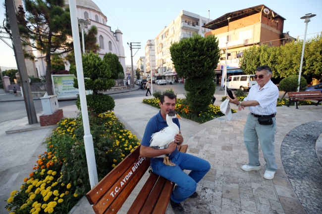 Evinde baktığı kaz can dostu oldu