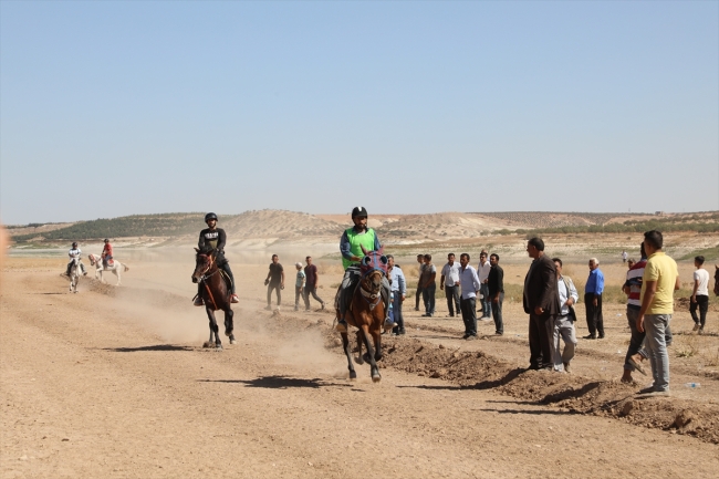 Rahvan At Yarışları Gaziantep'te yapıldı