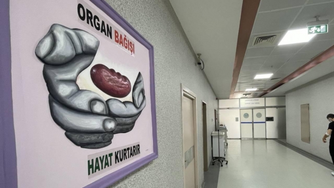 Organ nakli çalışmaları için Akdeniz Üniversitesi'nde "bilim vadisi" kurulacak